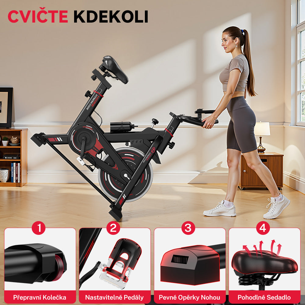 Stacionární Rotoped D1, Setrvačník 8 kg/10 kg