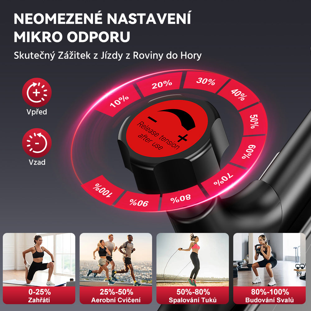 Stacionární Rotoped C1, Setrvačník 6 kg