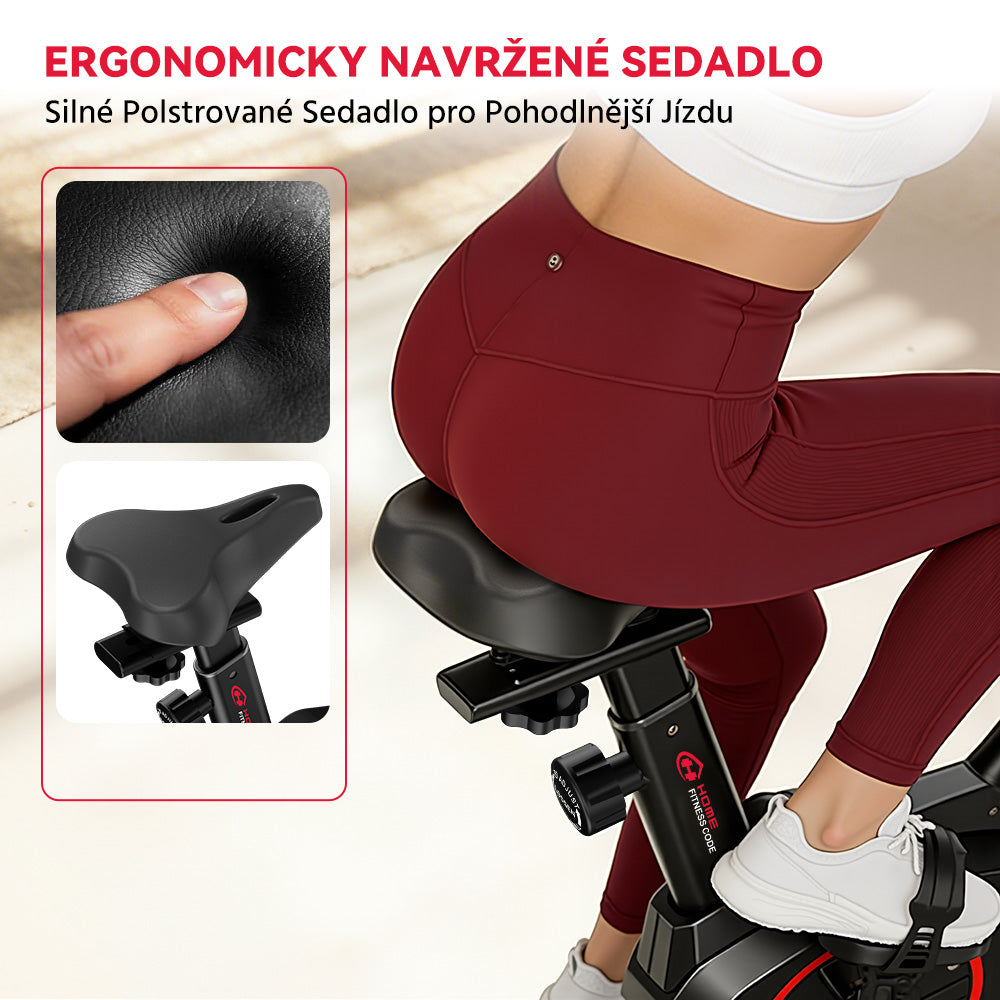 Stacionární Rotoped C1, Setrvačník 6 kg