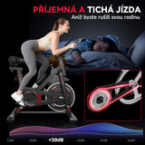 Stacionární Rotoped D1, Setrvačník 8 kg/10 kg
