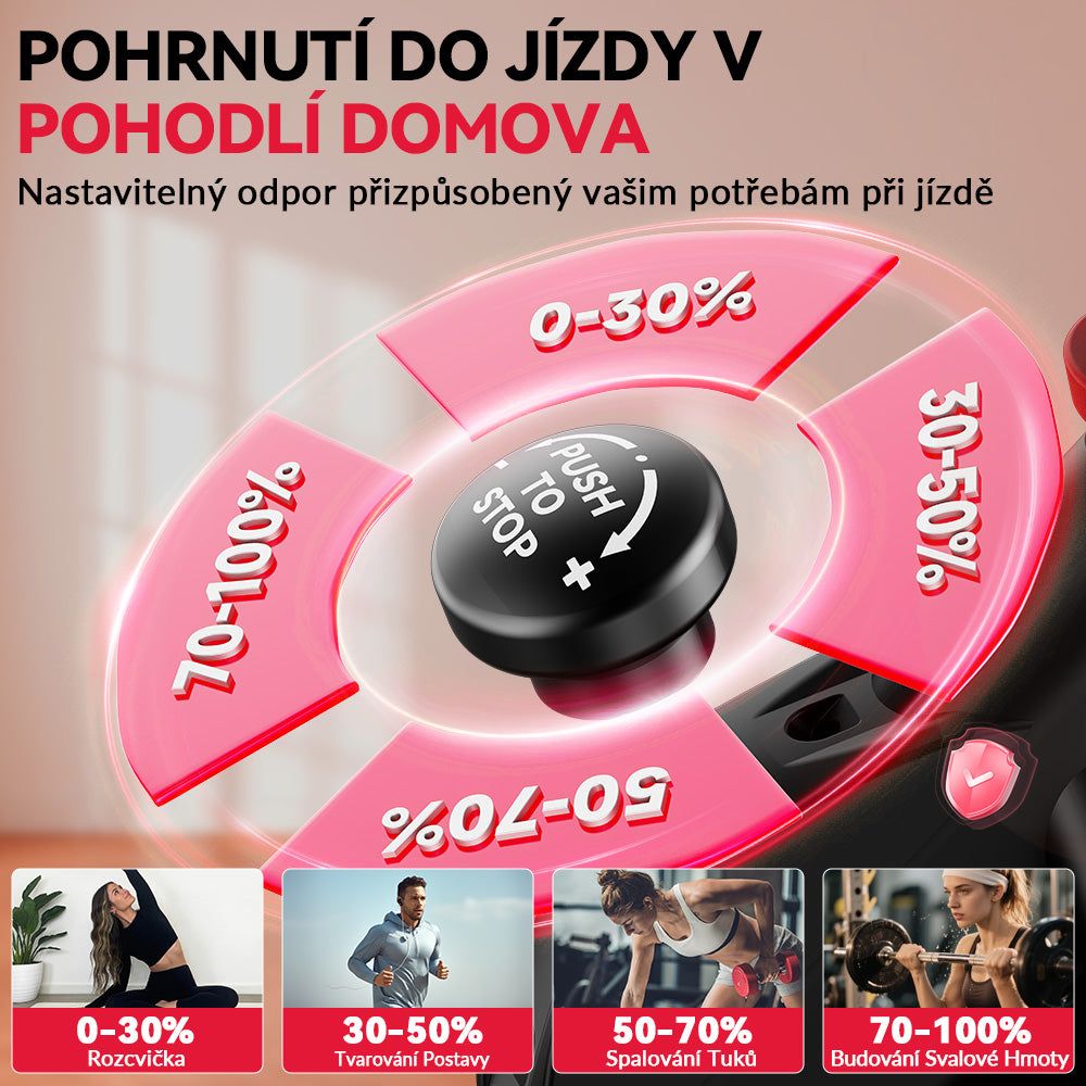 Stacionární Rotoped D1, Setrvačník 8 kg/10 kg