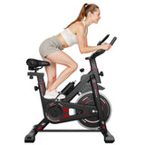 Stacionární Rotoped D1, Setrvačník 8 kg/10 kg